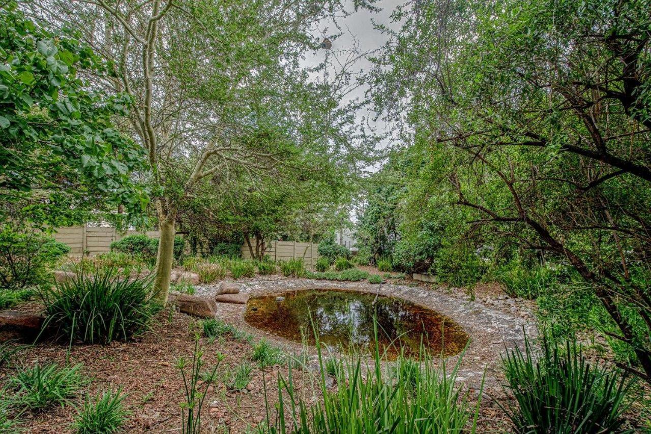 Wild Olive Executive Suite Johannesbourg Extérieur photo