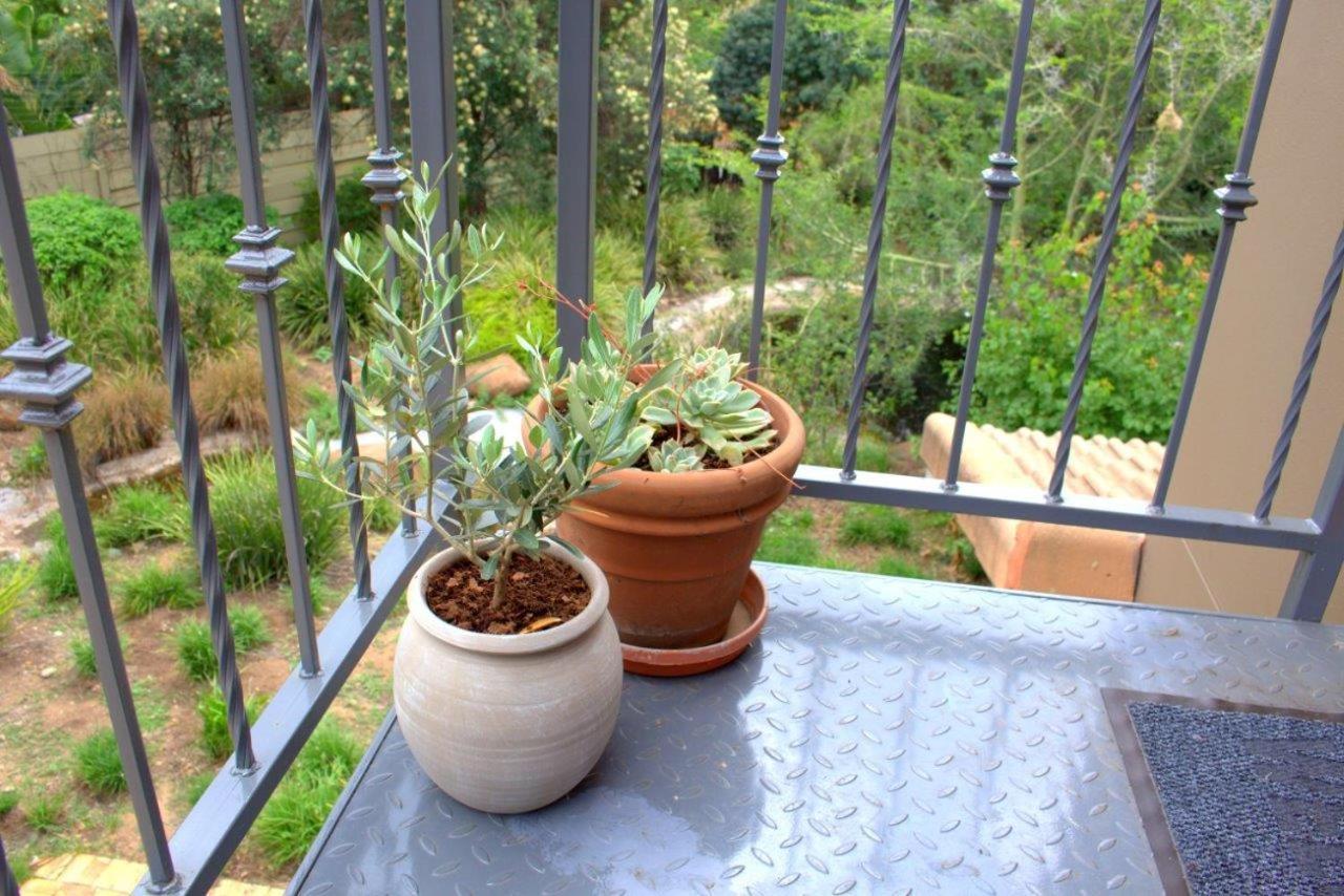 Wild Olive Executive Suite Johannesbourg Extérieur photo