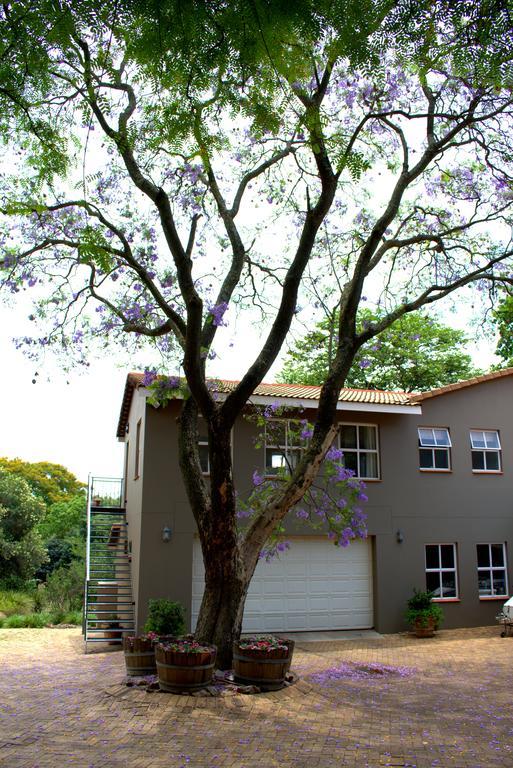 Wild Olive Executive Suite Johannesbourg Extérieur photo